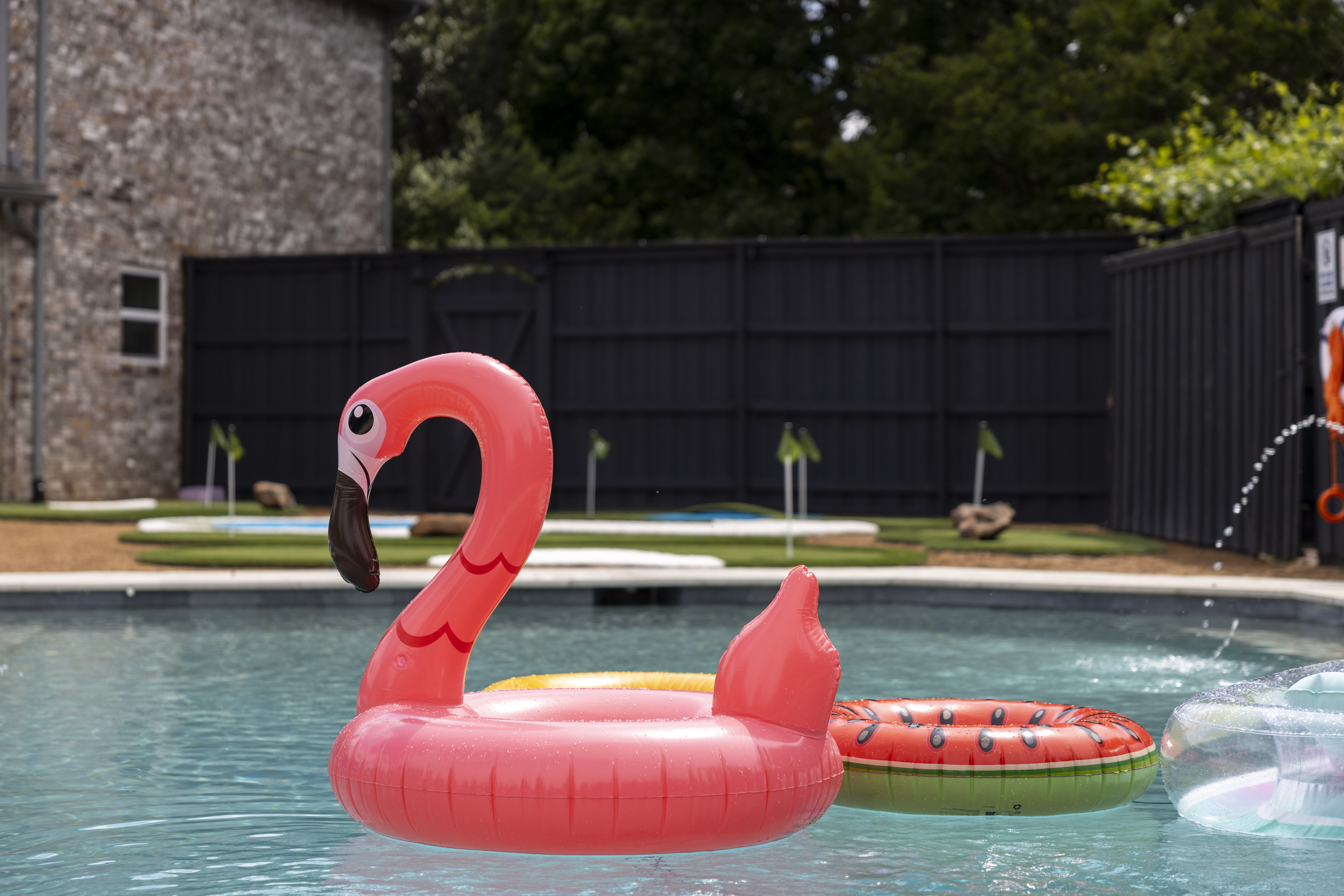 Backyard Pool 6